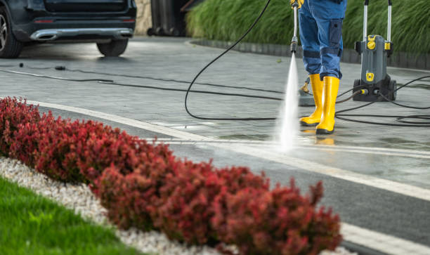 Best Driveway Pressure Washing  in Puyallup, WA